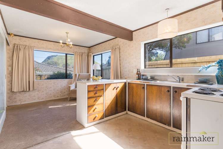 2/6 Green Road Panmure_12