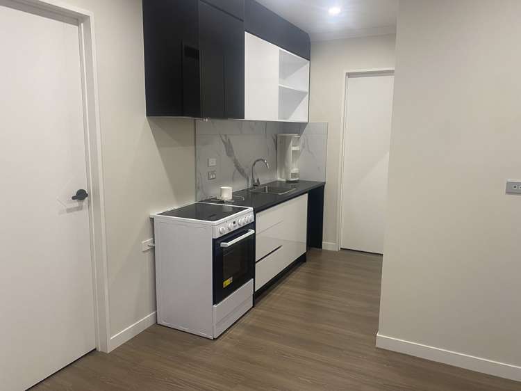 2 Morepork Street Flat Bush_1