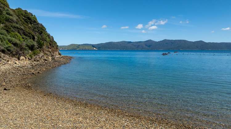 358 St Kilda Road Admiralty Bay_13