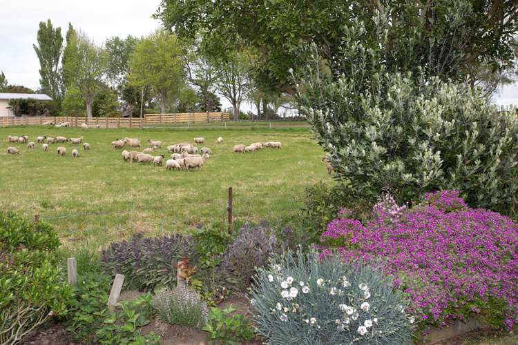 12 Tutaenui Road Marton_6
