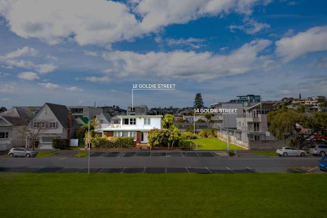 14 Goldie Street St Heliers_3