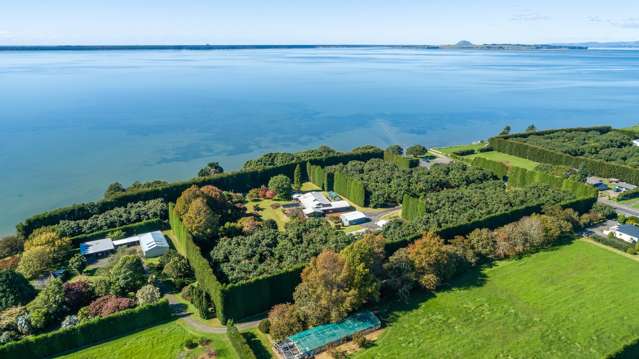 299 Beach Road Katikati_2