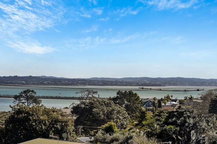 20a Hadfield Avenue Waterview_2