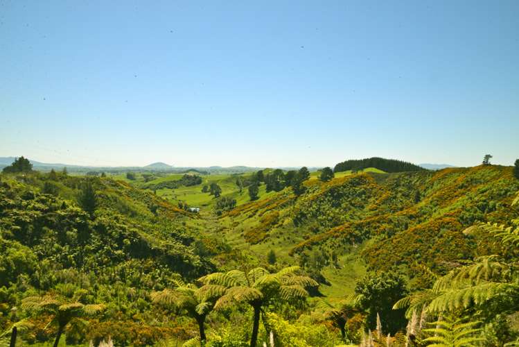 877 Puketawai Road Otorohanga_5