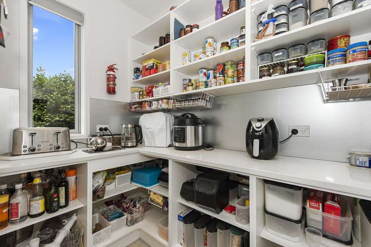 6b Clifton Road Hamilton Central_7