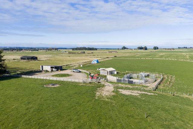 1412D Wellington Road Marton_3