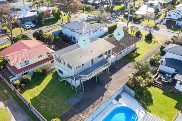 45A and 45B Hinewa Road Otumoetai_1