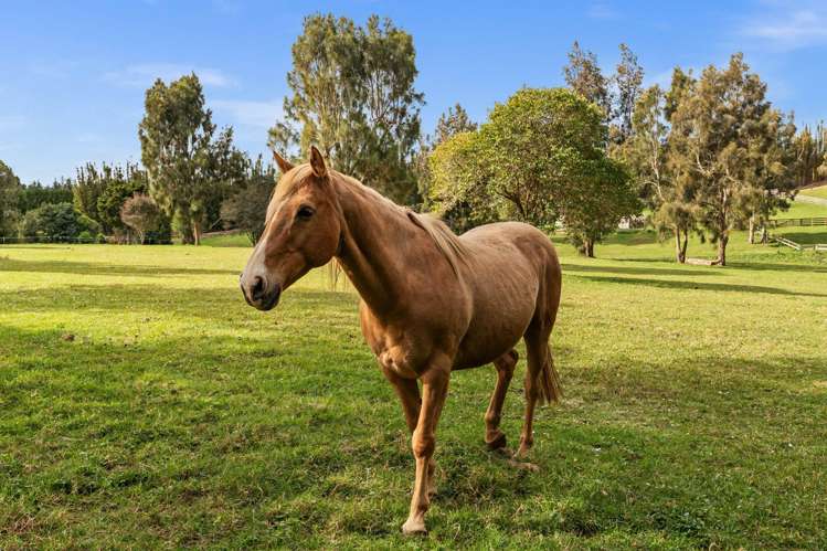 199A Waipapa West Road Waipapa_13