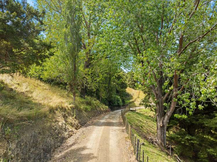 1408 Omana Road Tangiteroria_23