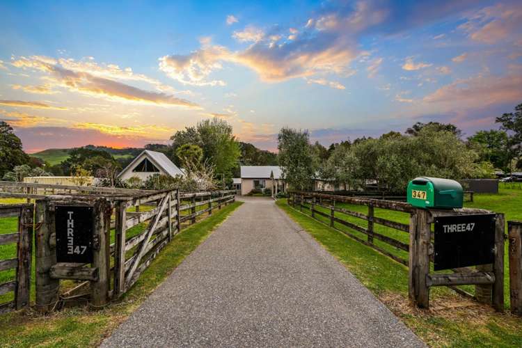 347 Taylor Road Helensville_2