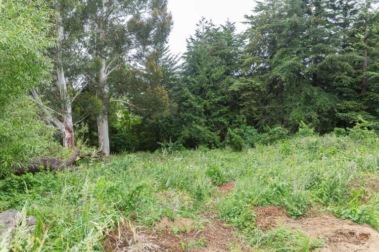 13 Allan Street Dannevirke_21