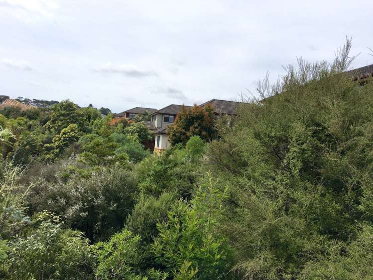 193 Kyle Road Greenhithe_23