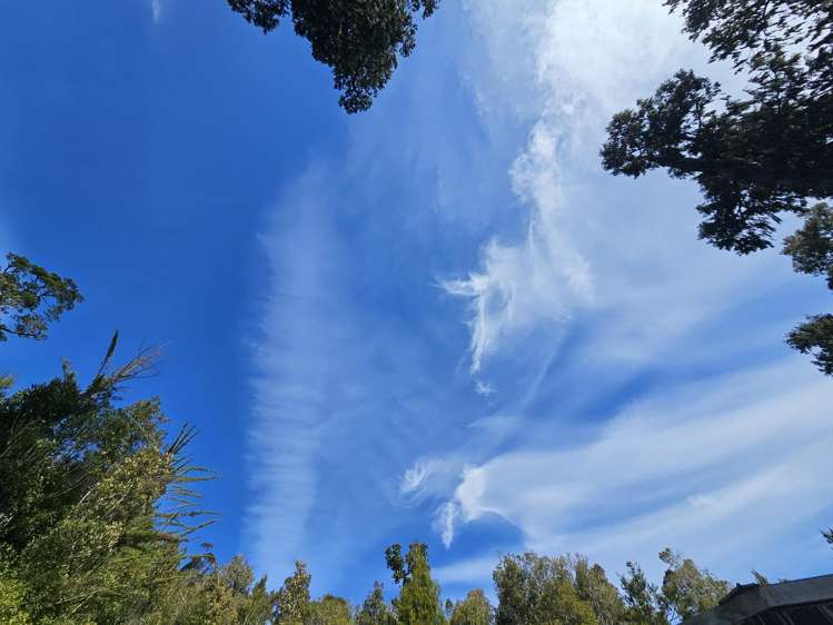 215 Clifton Road Kaiata_38