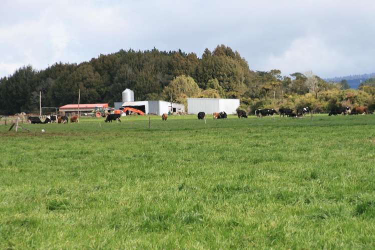 2403 Mountain Road Tariki_9