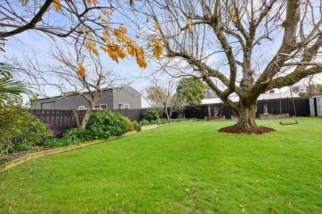 379 Thames Street Morrinsville_4