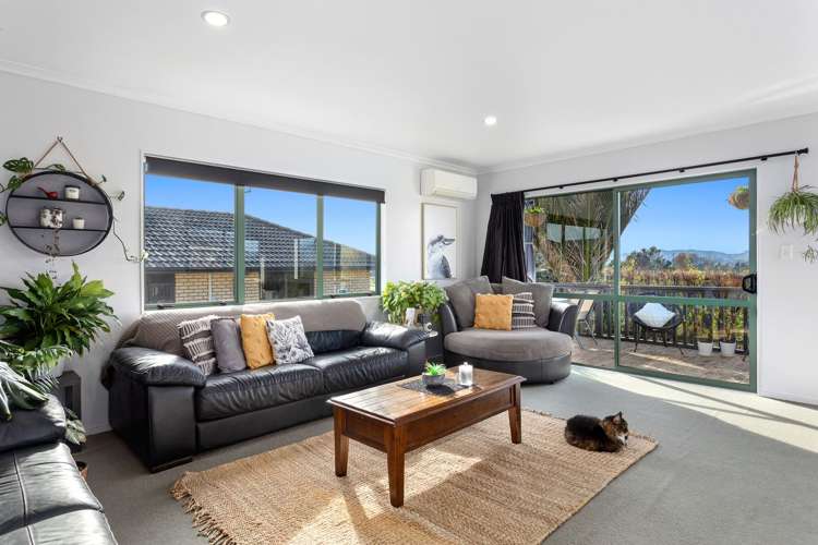 120 Grant Road Opotiki and Surrounds_3