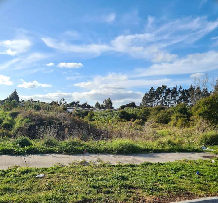 28 Farrell Road Pukekohe_1