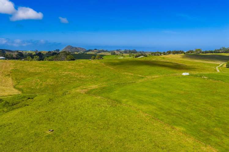 271 Pataua South Road Pataua South_13