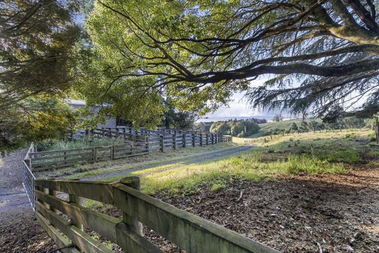 123 Hawthornden Drive Tikitere_24