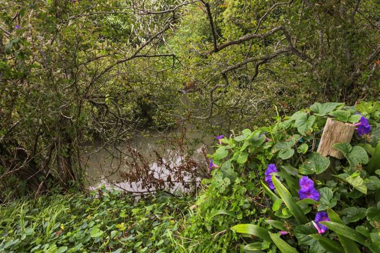 37 Ngaio Street Otahuhu_13