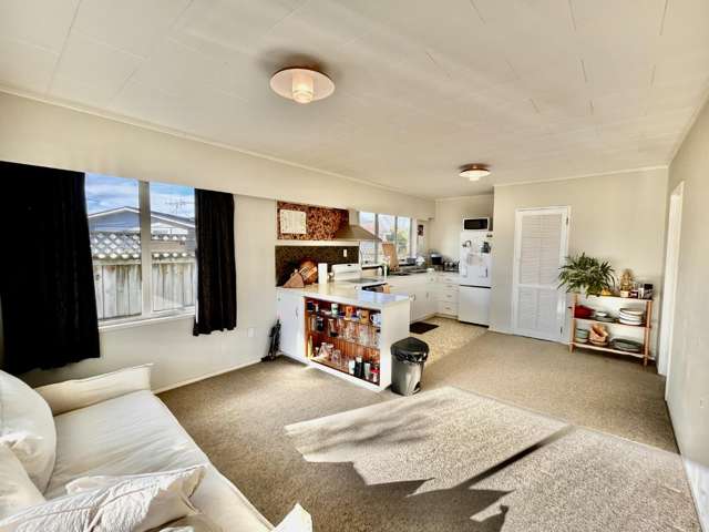 24 Kent Terrace Taradale_3