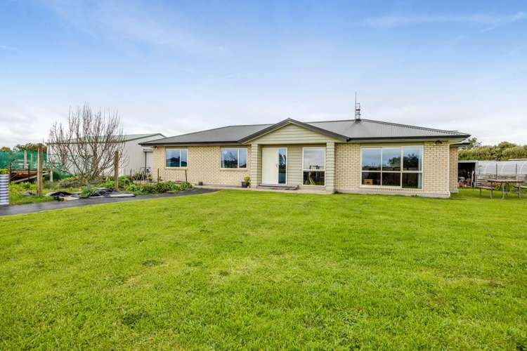 278 Austin Road Hawera_2