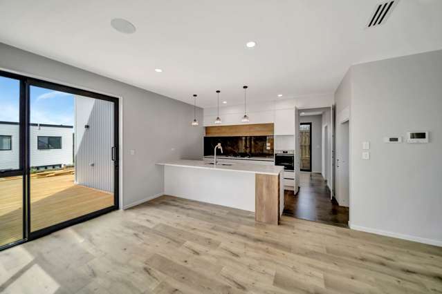 3 Alluvial Street Flat Bush_2