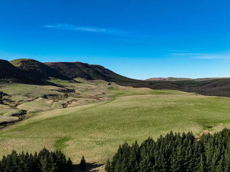 Hole and Corner Road Ferndale_11