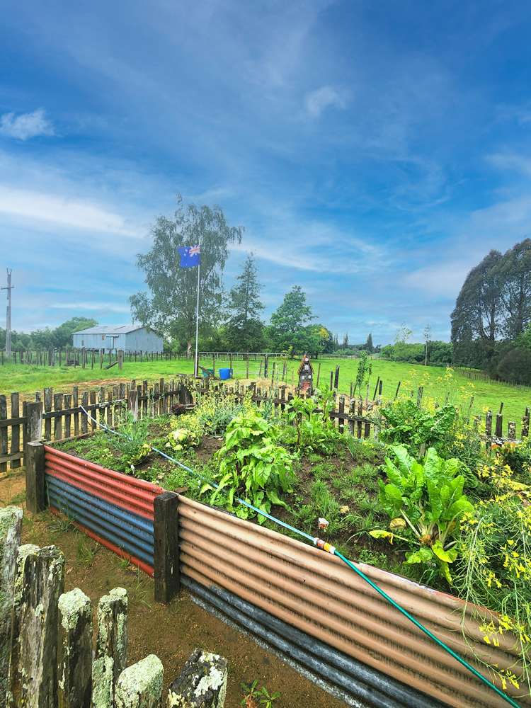 161 Kawautahi Road Owhango_14