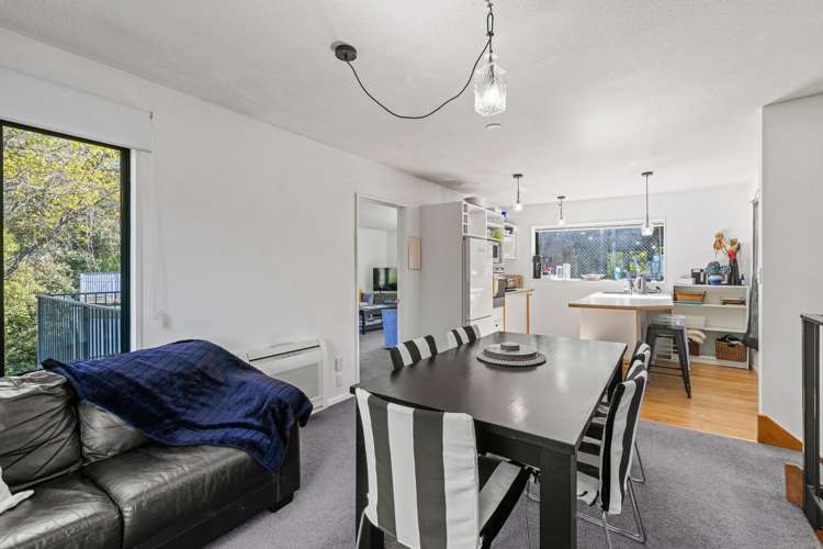 16b Rossmore Terrace Cashmere_6