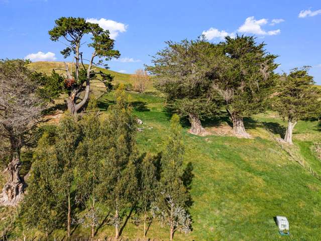 4, 127 Ongaonga Road Waipawa_4
