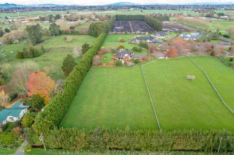 13 Brighton Grove Newstead_8