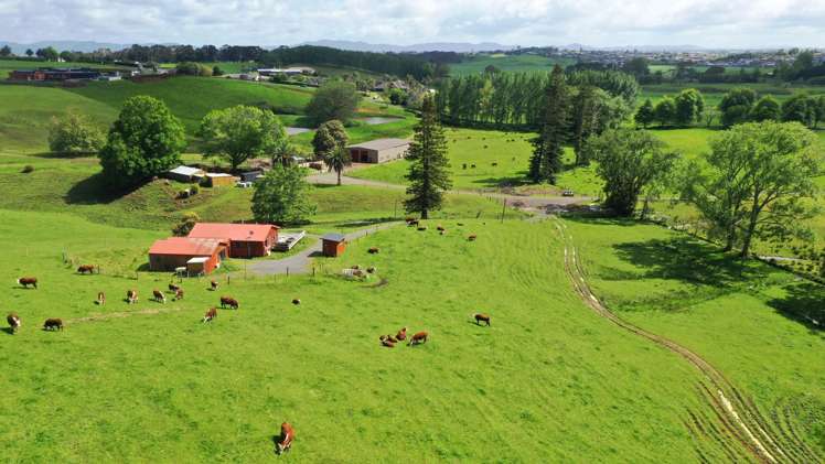 44 Wallace Road Temple View_20