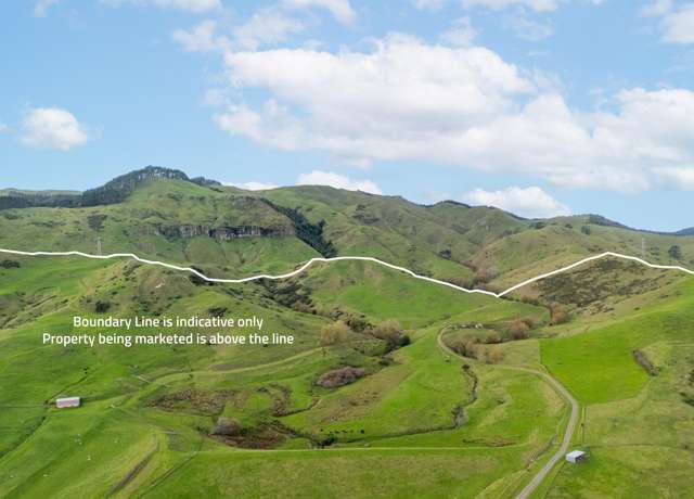 460Ha | SHEEP, BEEF AND FORESTRY OPTIONS