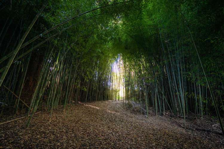 403 Hamurana Road Ngongotaha_19