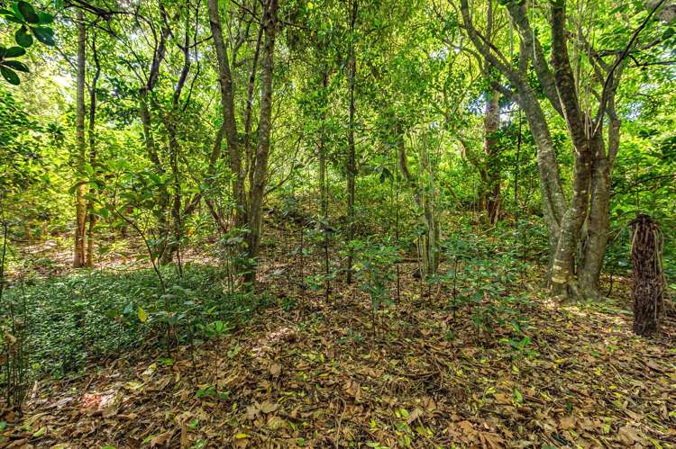 59 Great North Road Saint Johns Hill_31