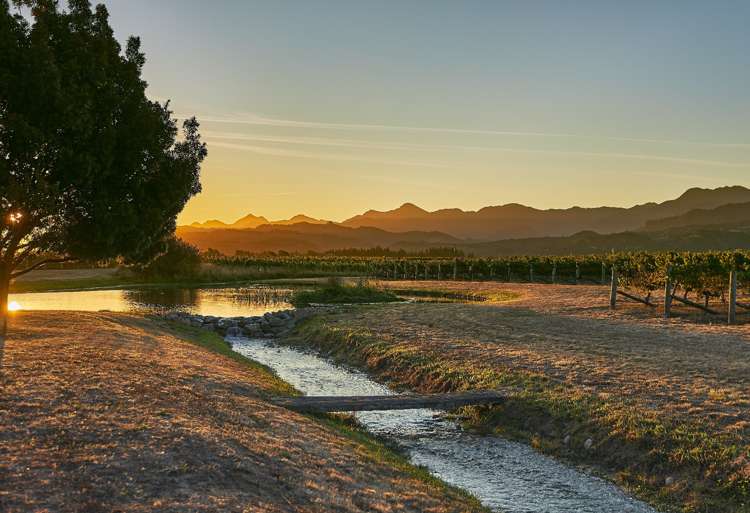 216 Bedford Road Renwick_16