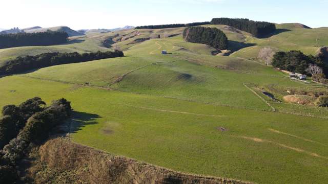 Waikoata hills