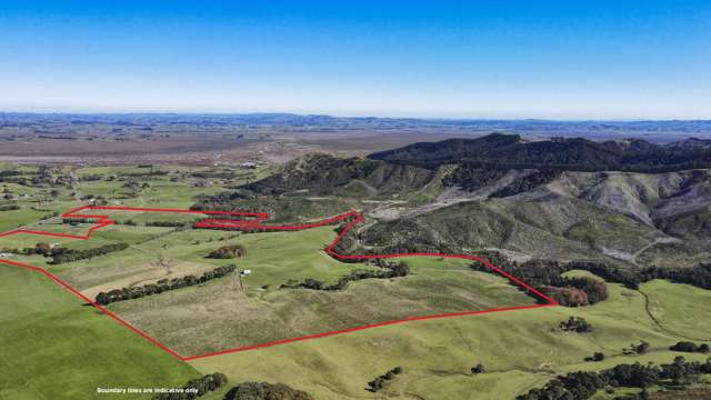 473 Falls Road Waerenga_1