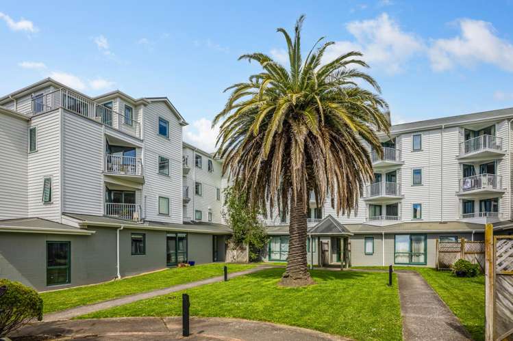C4/13 Palm Grove Berhampore_10