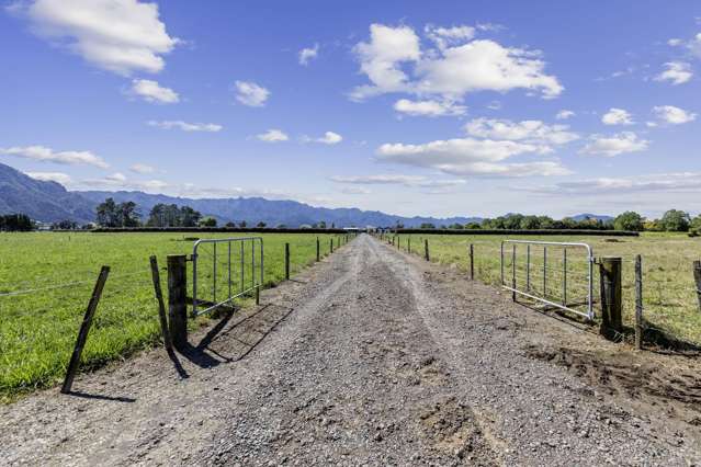 111 O'Donoghue Road Te Aroha_2