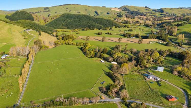 329 North Road Masterton_18