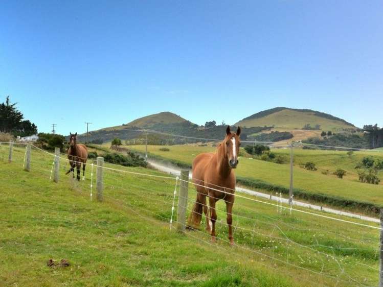 49 Creamery Road Ocean View_27