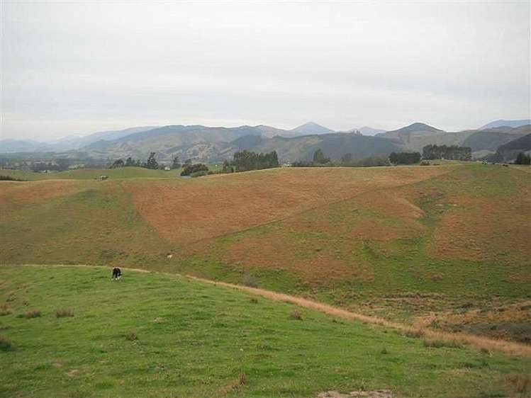 68 Jeffries Road Brightwater_11