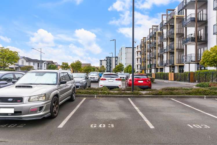 G03/3 Bluegrey Avenue Stonefields_11
