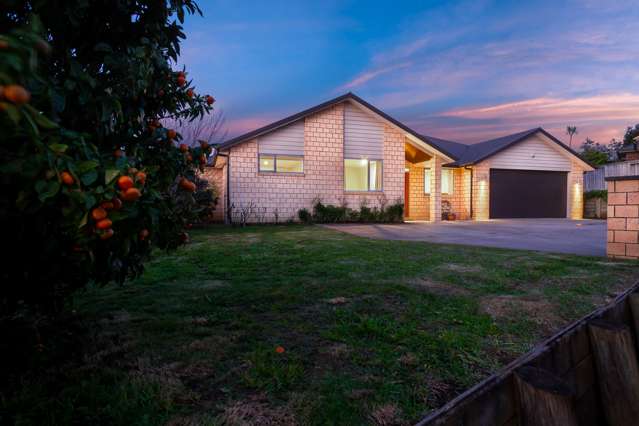 29 Te Ironui Place Huntington_1