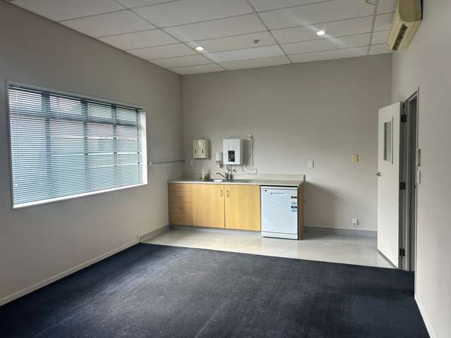 384 Grey Street Hamilton East_3