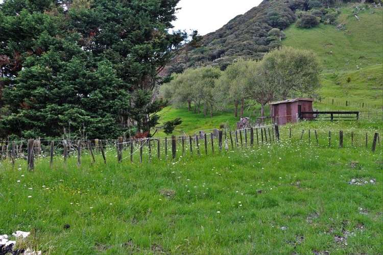 1000 Houto Road Tangiteroria_12