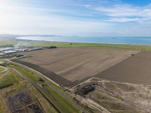217 Dunstan Road Matawhero_3