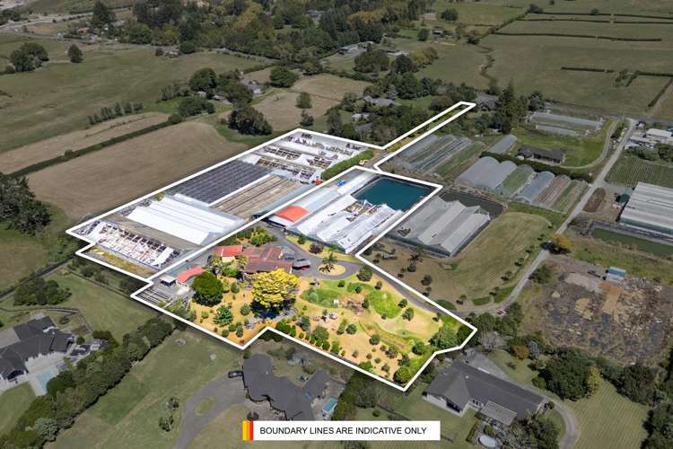 123 Jesmond Road Drury_17